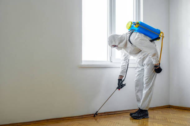 Best Emergency Pest Control  in Round Lake Heights, IL
