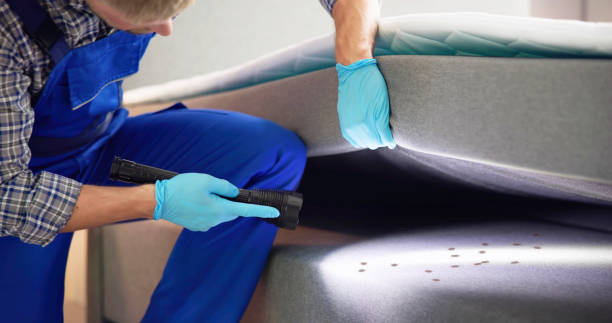 Best Wildlife Control Services  in Round Lake Heights, IL